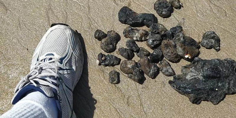  A Secretaria informou que a praia de Boa Viagem, no sábado, foi o local onde foi encontrada a maior quantidade de óleo, somando quase um quilo. 