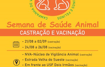 Noronha realiza campanhas para castração e vacinação antirrábica 