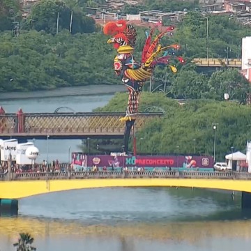 Pronto para saudar o Carnaval, Galo Gigante é erguido na presença de centenas de foliões
