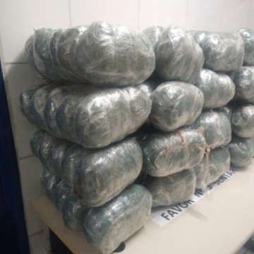 Polícia apreende quase 80 kg de maconha em Jaboatão 