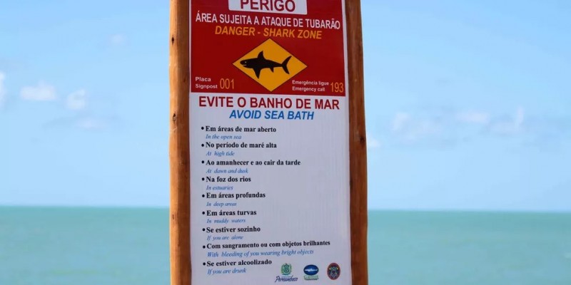 No litoral do Grande Recife, 33 km da faixa têm possibilidade de encontro com tubarões
