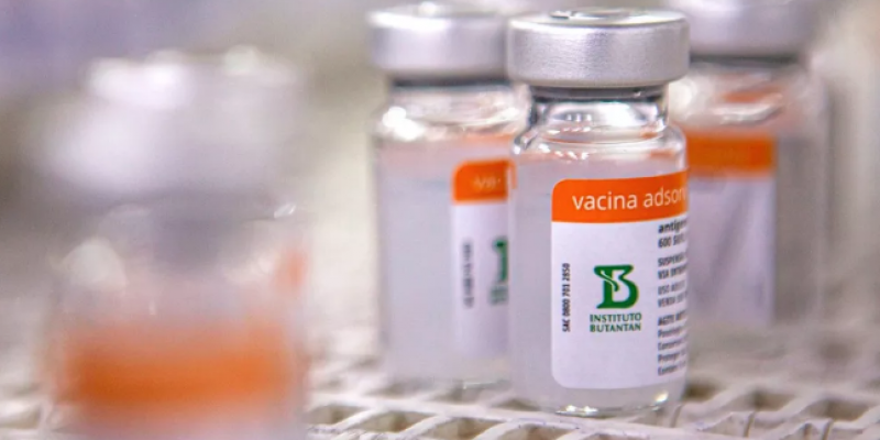 No total, mais de 110 milhões de doses da vacina foram enviadas ao Ministério da Saúde. 