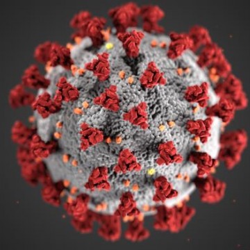 Infectologista da SBI diz que ainda é cedo tratar pandemia da COVID-19 como endemia