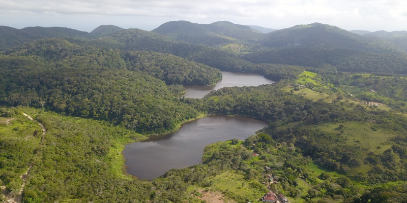 O parque é um fragmento de Mata Atlântica de 359 hectares