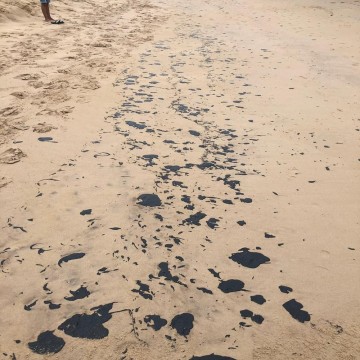 Agência do meio ambiente e Ibama investigam manchas de piche nas praias 