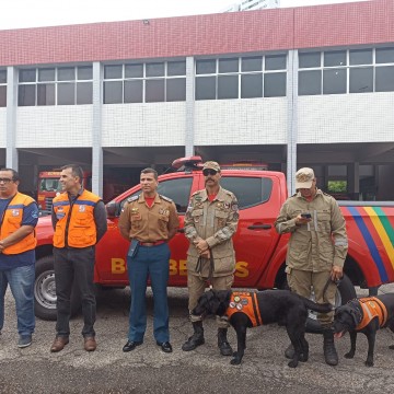 Governo de Pernambuco garante ajuda ao Rio Grande do Sul com envio de bombeiros e cães farejadores