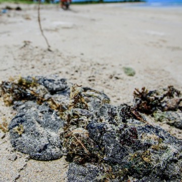 Cerca de 150 toneladas de óleo são recolhidas nas praias do Cabo 