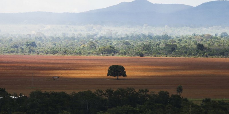 O bioma é considerado o berço das águas no Brasil