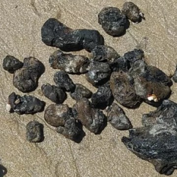 Análise sobre a composição de fragmentos de óleo encontrados em praias nordestinas ficará pronta na próxima segunda-feira