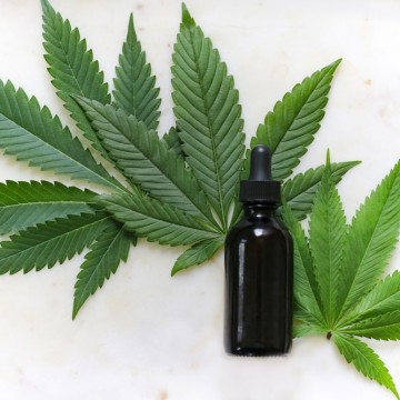 Uso medicinal da Cannabis é discutido no Recife  