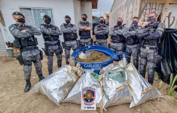 Polícia apreende mais de 100 quilos de maconha durante Operação Coalizão