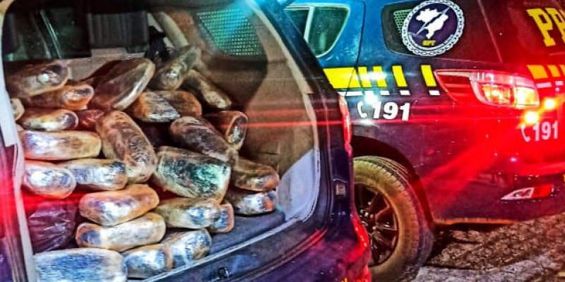 O motorista não era habilitado e estava transportando a droga em um carro alugado em  Petrolina, a caminho de Salgueiro. 