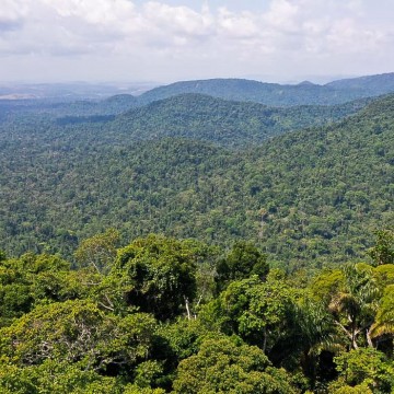 Amazônia: redução da pobreza e do desmatamento podem coexistir