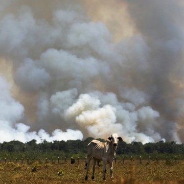 Brasil se compromete a reduzir emissão de metano em 30% e assina acordo para proteção de florestas
