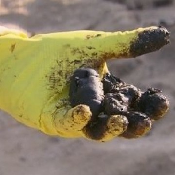  Duas toneladas de óleo são retiradas de praias em Pernambuco