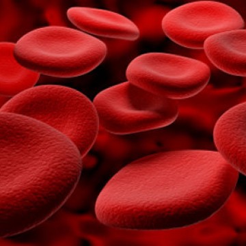 CBN Saúde: processos de coagulação do sangue