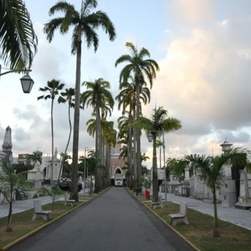  Prefeitura do Recife prepara cemitérios para o Dia de Finados 