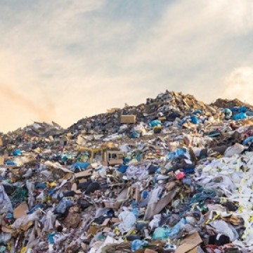 A questão judicial envolvendo a situação dos lixões no Brasil