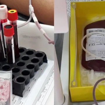 Junho Vermelho e Dia do Doador: Pernambuco precisa de doação de sangue de todos os tipos