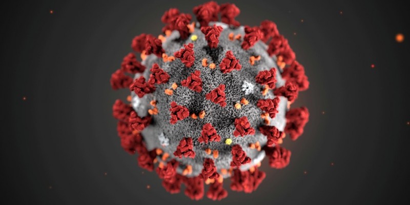 Ao todo, até o momento, a Fiocruz PE analisou 44 amostras biológicas que tinham confirmação para o novo coronavírus