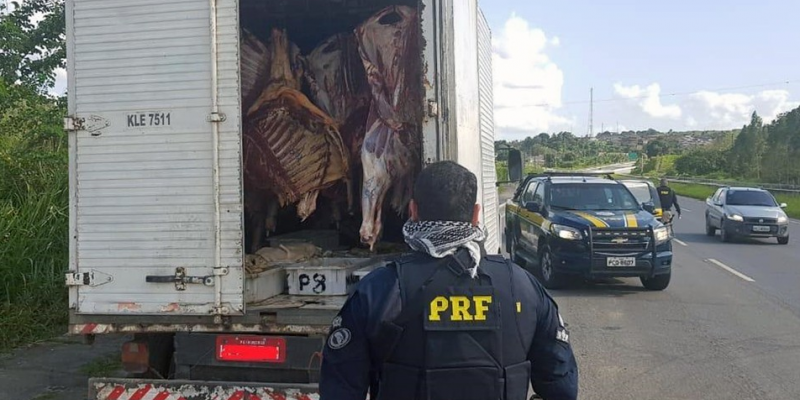 Pernambuco também registrou crescimento nas apreensões de cigarros, armas, animais silvestres e veículos roubados