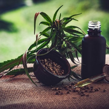 STJ autoriza três pacientes a cultivarem cannabis para fins medicinais