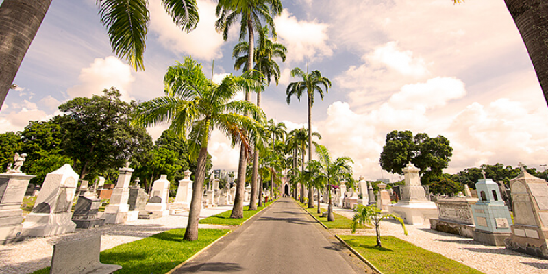 A Prefeitura do Recife vai realizar uma série de serviços nos cinco cemitérios públicos do município.