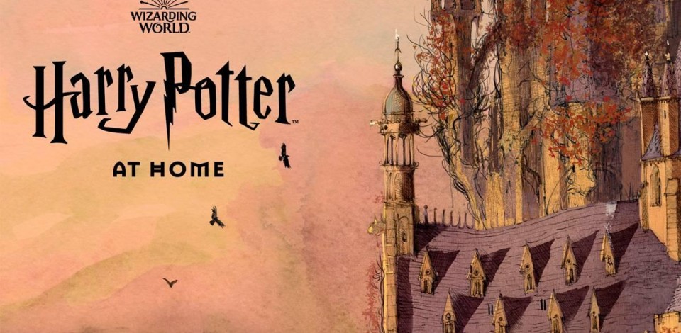 Projeto “Harry Potter em Casa” reunirá astros em leitura de livro da saga