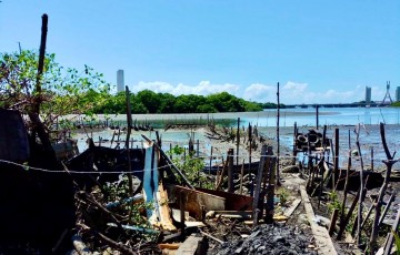 Prefeitura do Recife intensifica fiscalização para coibir criação irregular de camarões em área de mangue