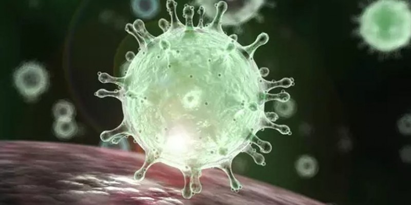 Estado confirma 605 novos casos da doença e soma 113.788 pessoas infectadas pelo novo coronavírus 