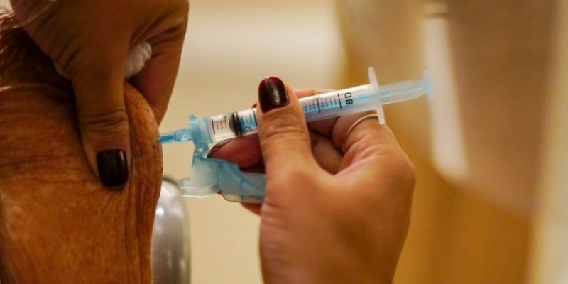 Foram destinadas 3.250 doses ao Programa Nacional de Imunização de Olinda (PNI)
