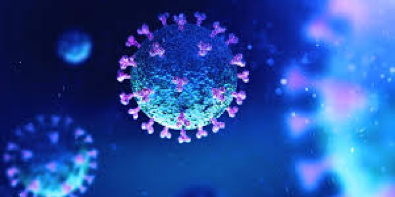 Estado ultrapassa 156 mil infectados pelo novo coronavírus 