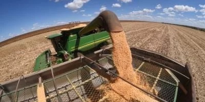 Brasil deve superar a barreira das 300 milhões de toneladas na produção de grãos.
