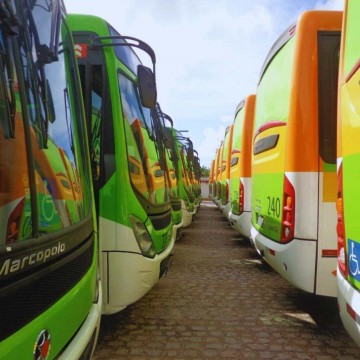 Frota de Ônibus é ampliada no Grande Recife