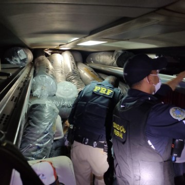 Maconha e cocaína são apreendidas em ônibus que seguia de São Paulo para Caruaru, no Agreste