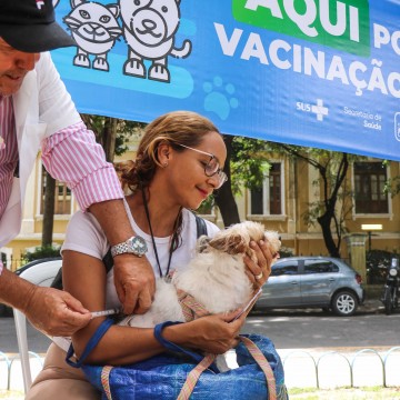 Prefeitura do Recife promove Dia D de Vacinação Antirrábica com diversos pontos de imunização espalhados pela cidade