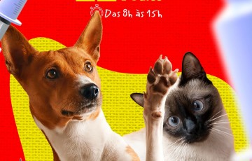 Prefeitura de Salgueiro promove Dia D de Vacinação Antirrábica para Cães e Gatos neste sábado (18)