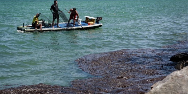 Segundo o Oceanário da Universidade Federal Rural de Pernambuco (UFRPE) estimas-se que 30 mil pessoas dependem da pesca no Estado