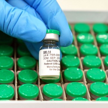 Vacina contra esquistossomose estará disponível no SUS em 2025